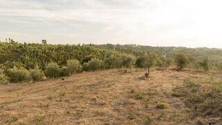 Land for sale in Sertã, Portugal — €20,000