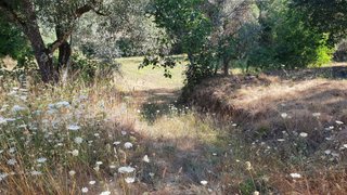 Land for sale in Covilhã, Portugal — €59,200