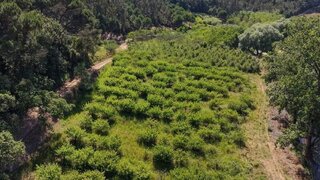 Land for sale in Óbidos, Portugal — €30,000