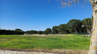 Land for sale in Benavente, Portugal — €268,000