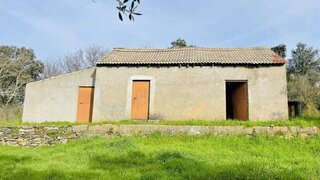 Terreno em Penamacor