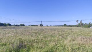 Land for sale in Alpiarça, Portugal — €51,500