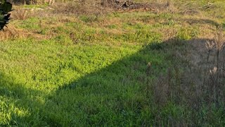 Terreno em Benavente