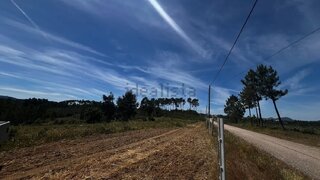 Terreno de 9600 m² em Castelo Branco