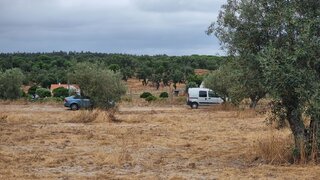 Land for sale in Coruche, Portugal — €85,000