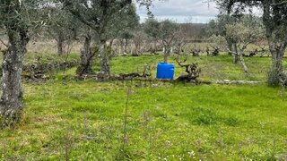 Terreno de 2500 m² em Castelo Branco