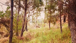 Land for sale in Tomar, Portugal — €22,000