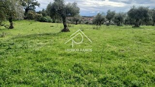 Land for sale in Idanha-a-Nova, Portugal — €7,500