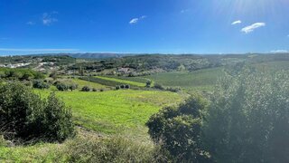 Land for sale in Alcobaça, Portugal — €690,000