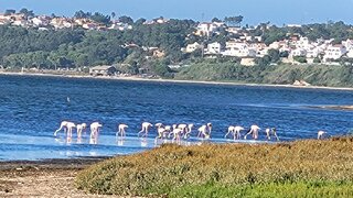 Land for sale in Óbidos, Portugal — €450,000