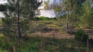 Land for sale in Constância, Portugal — €45,000