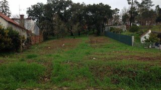 Land for sale in Pombal, Portugal — €34,900