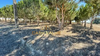 Terreno para venda em Salvaterra de Magos, Portugal — 47 500 €
