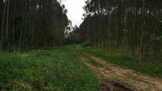 Land for sale in Caldas da Rainha, Portugal — €14,500