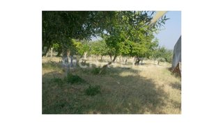 Land for sale in Tomar, Portugal — €130,000