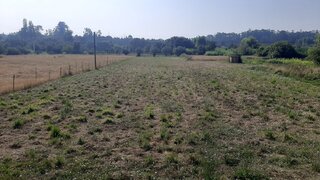 Terreno para venda em Pombal, Portugal — 35 000 €