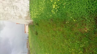 Land for sale in Alcobaça, Portugal — €80,000