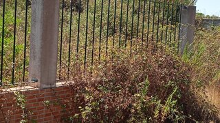 Terreno de 4720 m² em Santarém