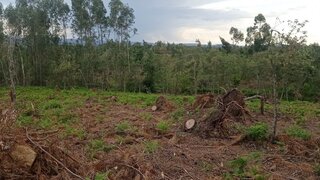 Land for sale in Sertã, Portugal — €45,000