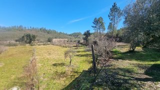 Land for sale in Proença-a-Nova, Portugal — €16,000