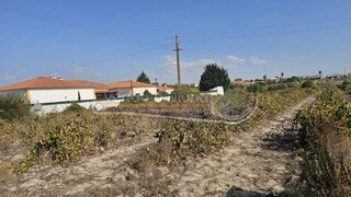Land for sale in Benavente, Portugal — €87,000