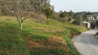Terreno de 6200 m² em Leiria
