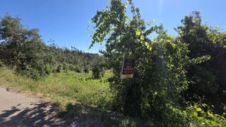 Land for sale in Ferreira do Zêzere, Portugal — €6,500