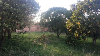 Land for sale in Marinha Grande, Portugal — €150,000