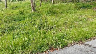 Terreno de 770 m² em Leiria