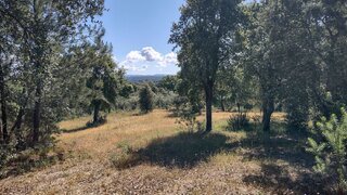 Land for sale in Fundão, Portugal — €36,500