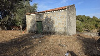 Terreno de 10 000 m² em Castelo Branco