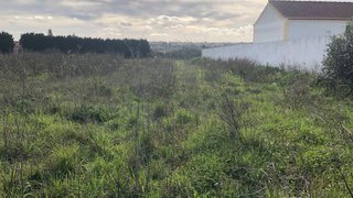 Land for sale in Cartaxo, Portugal — €70,000