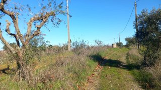 Terreno para venda em Idanha-a-Nova, Portugal — 6500 €