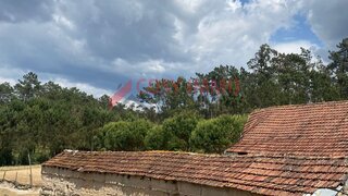 Land for sale in Pombal, Portugal — €59,999