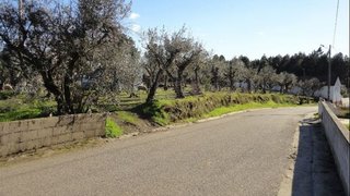 Land for sale in Sertã, Portugal — €50,000