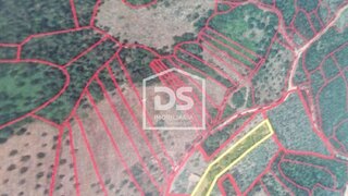 Land for sale in Alcanena, Portugal — €53,200