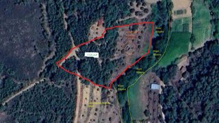 Land for sale in Castelo Branco, Portugal — €17,500
