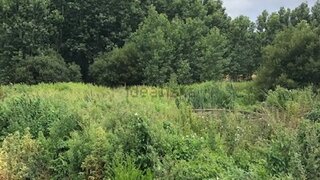 Land for sale in Almeirim, Portugal — €23,000