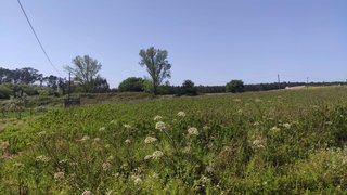 Land for sale in Leiria, Portugal — €55,000