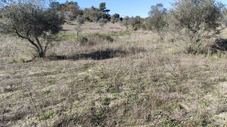 Land for sale in Penamacor, Portugal — €21,500