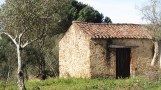 Land for sale in Sardoal, Portugal — €36,000