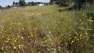 Terreno para venda em Pombal, Portugal — 150 000 €