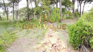 Land for sale in Coruche, Portugal — €23,000