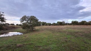 Land for sale in Idanha-a-Nova, Portugal — €16,150