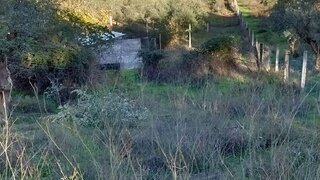 Land for sale in Abrantes, Portugal — €91,000