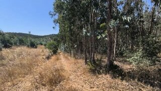 Land for sale in Rio Maior, Portugal — €64,000