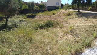 Terreno de 560 m² em Castelo Branco