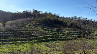 Land for sale in Fundão, Portugal — €70,000