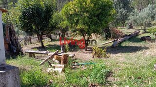 Land for sale in Ourém, Portugal — €230,000