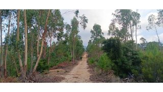 Land for sale in Mação, Portugal — €2,750
